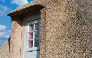 Greenmeadow thatch roof disadvantages